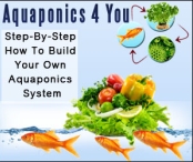 Aquaponics Farming: Most Powerful Resource You Ever Need