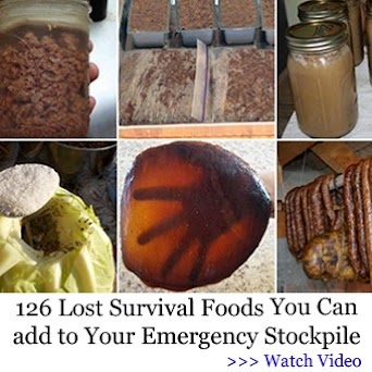 Lost Survival Foods